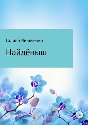 Обложка книги «Найдёныш» — Галина Вильченко