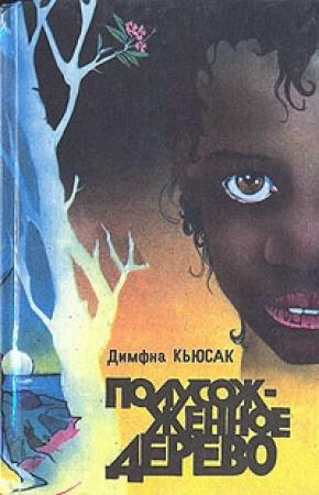 Обложка книги «Чёрная молния» — Димфна Кьюсак