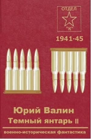 Обложка книги «Темный янтарь-2» — Юрий Валин