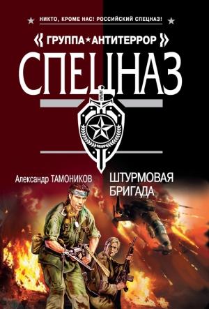 Обложка книги «Штурмовая бригада» — Александр Тамоников