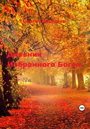Обложка книги «Дневник Избранного Богом» — Сергей Новиков