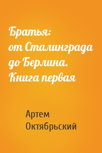 Братья: от Сталинграда до Берлина. Книга первая