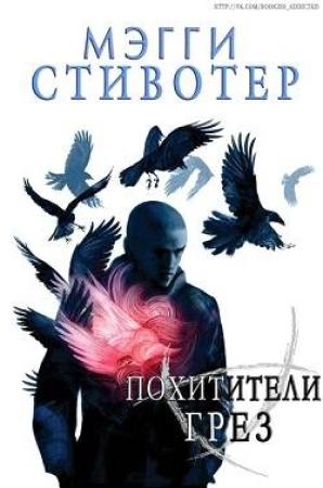 Обложка книги «Похитители грёз» — Мэгги Стивотер