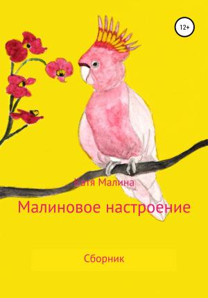Обложка книги «Малиновое настроение» — Катя Малина