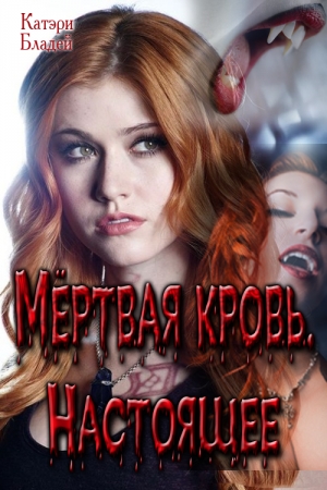Обложка книги «Начало или У всех есть тайны» — Катэри Бладей