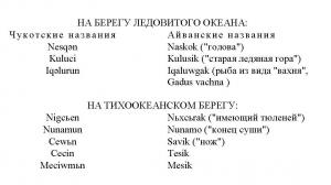 Обложка книги «Чукчи. Том I» — В Богораз