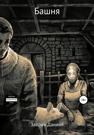 Обложка книги «Башня» — Даниил Заврин