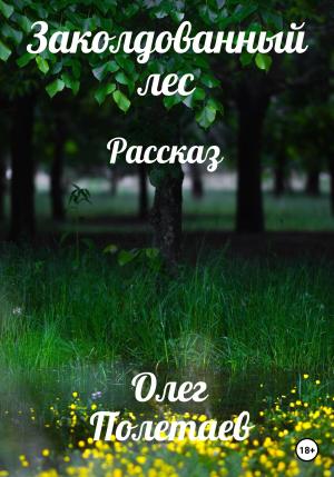 Обложка книги «Заколдованный лес» — Олег Полетаев