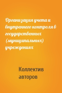 Организация учета и внутреннего контроля в государственных (муниципальных) учреждениях