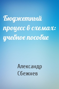 Бюджетный процесс в схемах: учебное пособие