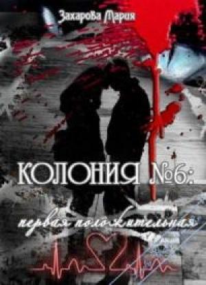 Обложка книги «Колония № 6: первая положительная» — Мария Захарова