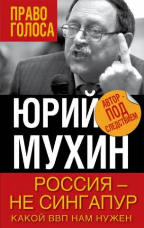 Обложка книги «Россия — не Сингапур. Какой ВВП нам нужен» — Юрий Мухин