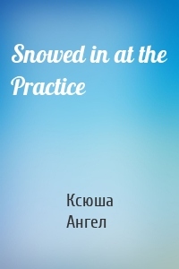 Snowed in at the Practice