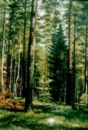 Обложка книги «Лес - кормилец» — Иван Дубровин