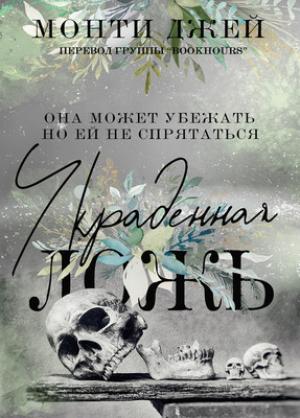 Обложка книги «Украденная ложь» — Монти Джей