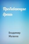 Владимир Матвеев - Пробивающие брешь