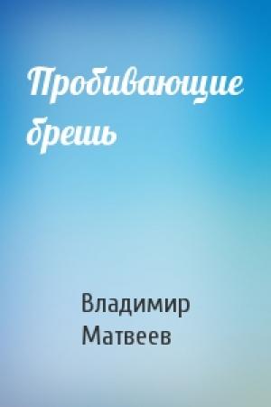 Обложка книги «Пробивающие брешь» — Владимир Матвеев