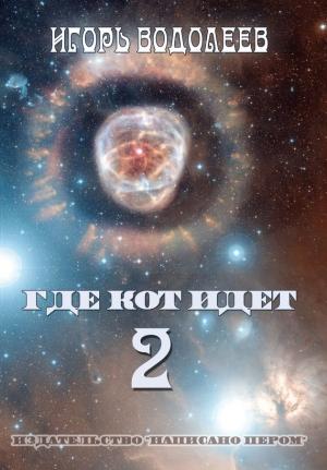 Обложка книги «Где кот идет 2» — Игорь Водолеев