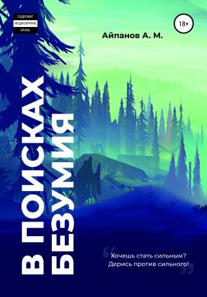 Обложка книги «В поисках безумия» — Адильхан Айпанов