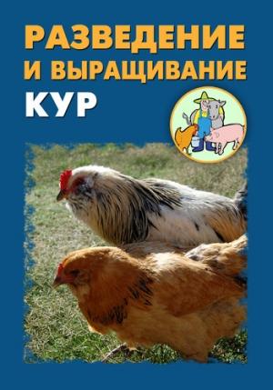 Обложка книги «Разведение и выращивание кур» — Илья Мельников, Александр Ханников
