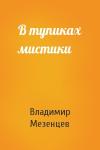 Владимир Мезенцев - В тупиках мистики