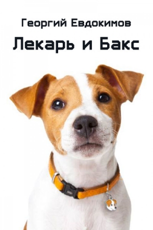 Обложка книги «Лекарь и Бакс» — Георгий Евдокимов
