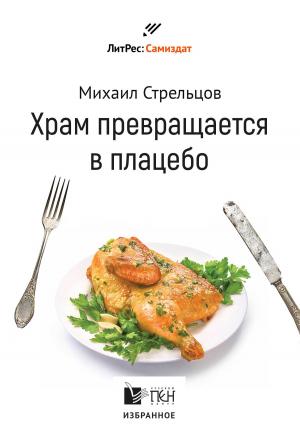 Обложка книги «Храм превращается в плацебо» — Михаил Стрельцов