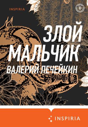 Обложка книги «Злой мальчик» — Валерий Печейкин