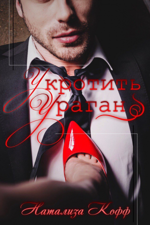 Обложка книги «Укротить ураган» — Натализа Кофф