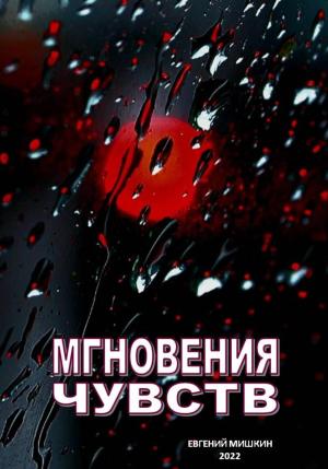 Обложка книги «Мгновения чувств» — Евгений Мишкин