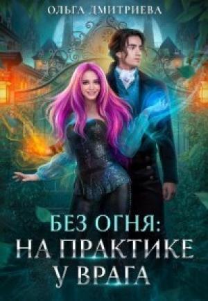 Обложка книги «На практике у врага (СИ)» — Ольга Дмитриева