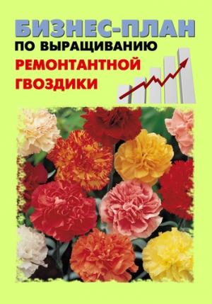 Обложка книги «Бизнес-план по выращиванию ремонтантной гвоздики» — Павел Шешко, А. Бруйло