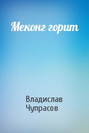 Обложка книги «Меконг горит» — Владислав Чупрасов