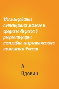 Использование потенциала малого и среднего бизнеса в реорганизации топливно-энергетического комплекса России