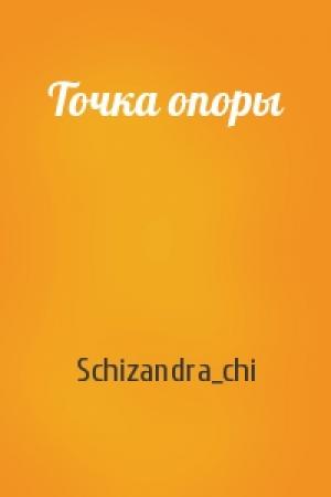 Обложка книги «Точка опоры» — Schizandra_chi