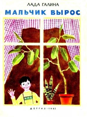 Обложка книги «Мальчик вырос» — Лада Галина