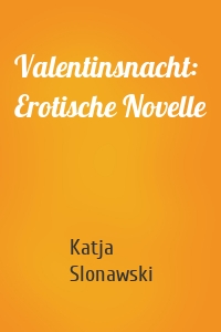Valentinsnacht: Erotische Novelle