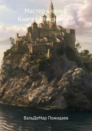 Обложка книги «Мастер клинка. Книга 1. Некромант» — ВальДеМар Пожидаев