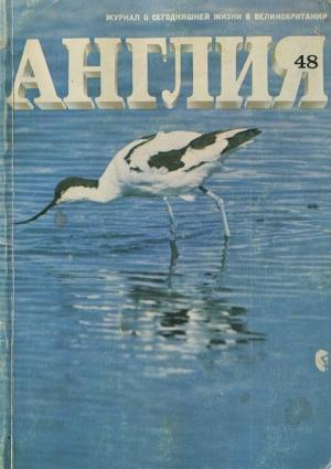 Обложка книги «Девушка с зелеными глазами (отрывок)» — Эдна О'Брайен