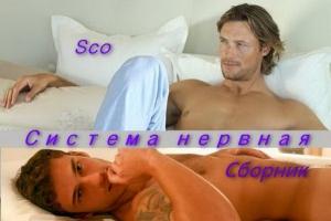 Обложка книги «Система нервная» — Sco