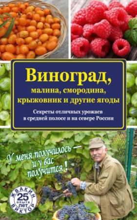 Обложка книги «Виноград, малина, смородина, крыжовник и другие ягоды» — Виктор Жвакин