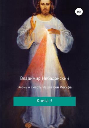 Обложка книги «Жизнь и смерть Иешуа бен Иосифа. Книга 3» — Владимир Небадонский