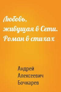 Любовь, живущая в Сети. Роман в стихах