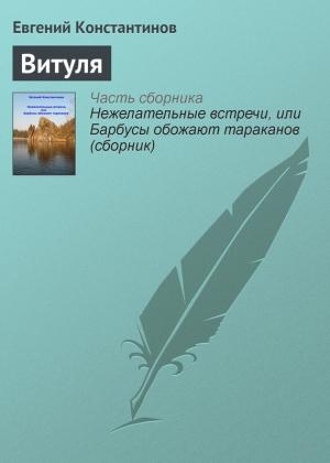 Обложка книги «Витуля» — Евгений Константинов