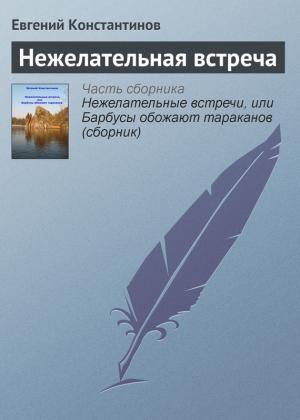 Обложка книги «Нежелательная встреча» — Евгений Константинов