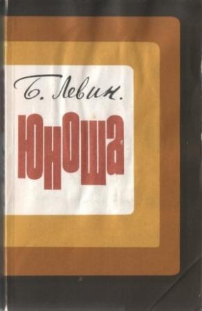 Обложка книги «Юноша» — Борис Левин