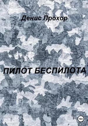 Обложка книги «Пилот беспилота» — Денис Прохор