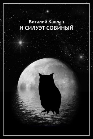 Обложка книги «И силуэт совиный» — Виталий Каплан