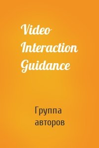 Video Interaction Guidance