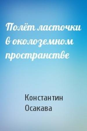 Обложка книги «Полёт ласточки в околоземном пространстве» — Константин Осакава